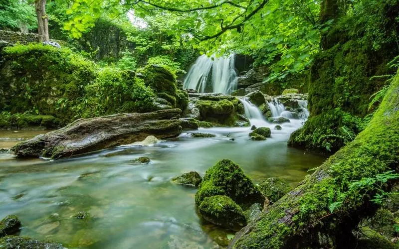 电子可靠性智慧工厂